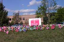 pinwheels
