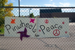 Pinwheels 017