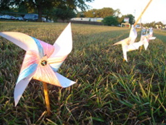Pinwheels for peace 4