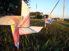 Pinwheels for Peace