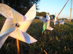 Pinwheels for Peace 2