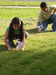pinwheels 006