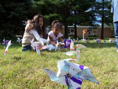 pinwheels 010